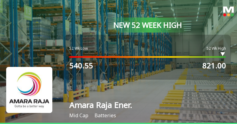 Amara Raja Energy Mobility Ltd Amara Raja Energy Mobility Ltd Live