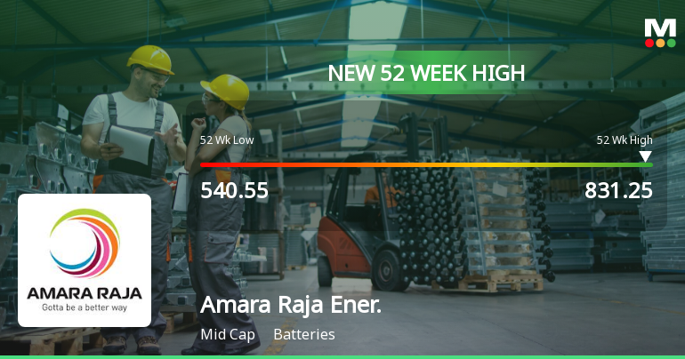 Amara Raja Energy Mobility A Midcap Powerhouse