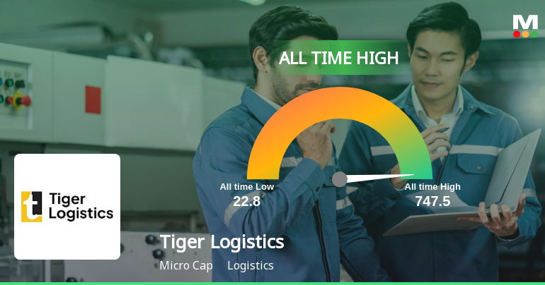 Tiger Logistics India Ltd Reaches All Time High