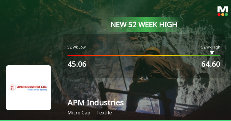 APM Industries Reaches New 52 Week High But Volatility and