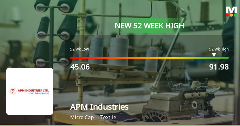 APM Industries Stock Price Surges Outperforms Sector and Sensex