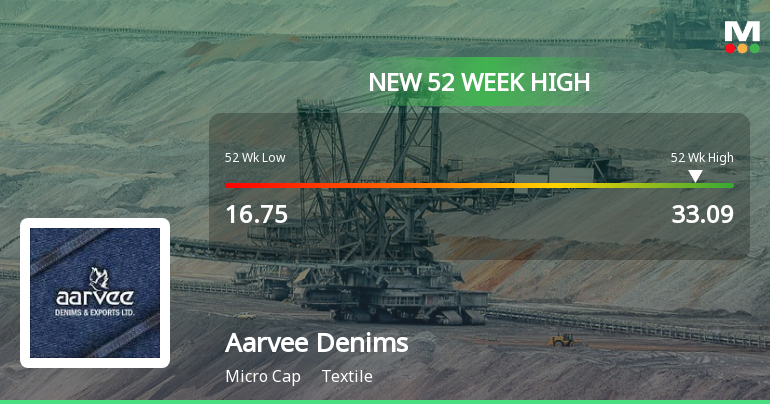 Aarvee Denims and Exports Ltd. (514274) Company Information - Simply Wall St