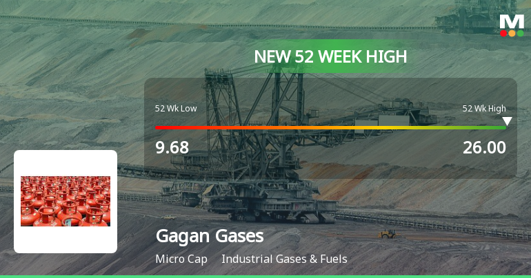 Gagan Gases' Stock Reaches 52-Week High, Outperforms Sector by 8.21%