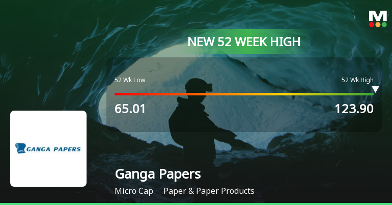 ganga cycle price