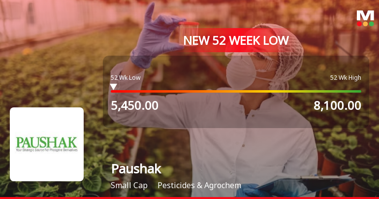 Paushak's Stock Hits 52-Week Low Amidst Declining Performance In ...