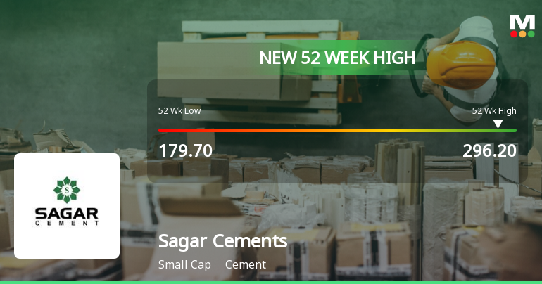 Sagar PPC Cement at Rs 330/bag | PPC Cement in Salem | ID: 2853426908188