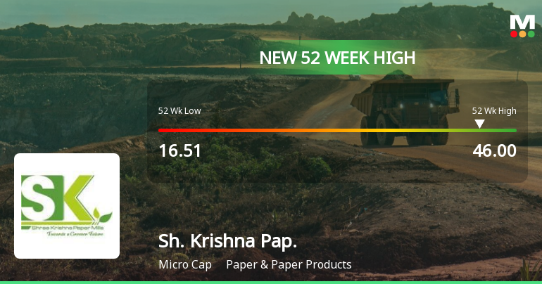 Shree Krishna Paper Mills & Industries Ltd Surges, Outper...