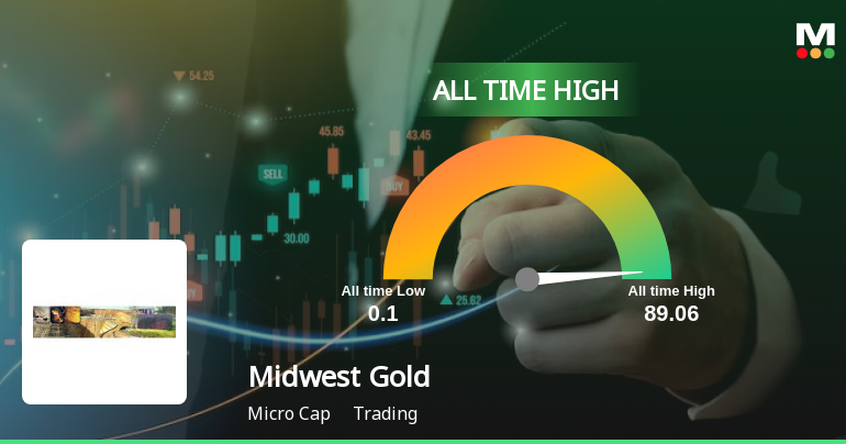 MidwestGold_priceRelatedfactors_221299.png