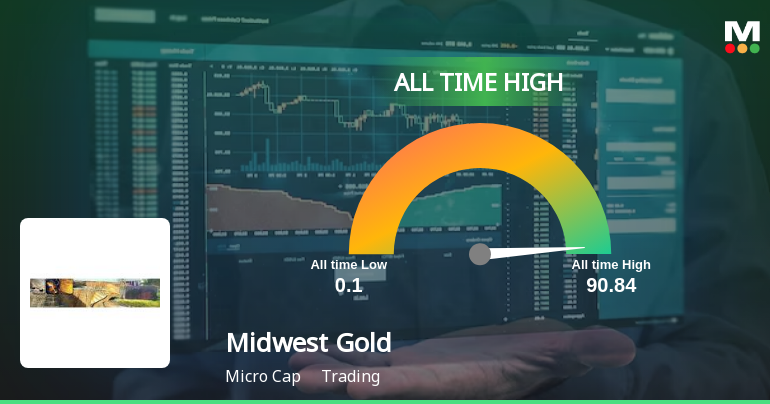 MidwestGold_priceRelatedfactors_228561.png