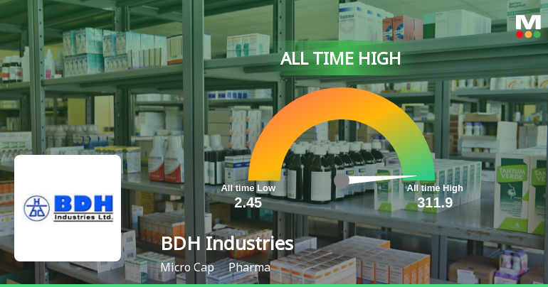 BDH Industries' Stock Reaches All-Time High, Outperforms Sector With ...