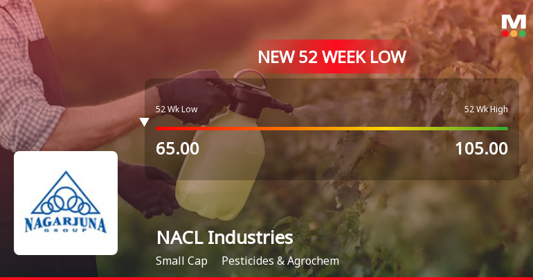 NACL Industries' Stock Hits 52-Week Low Amidst Sector Decline