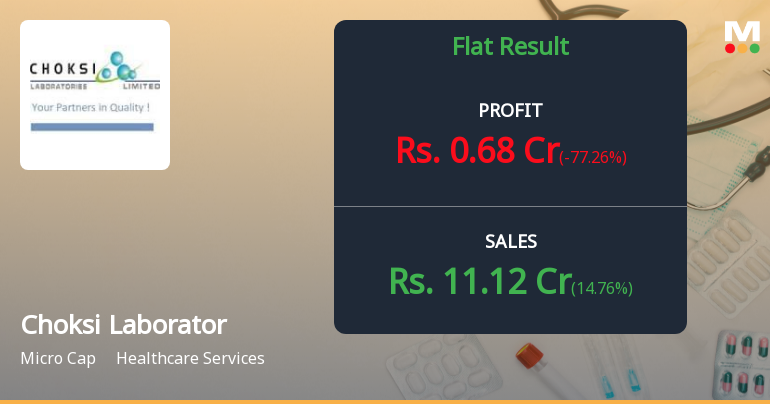 Choksi Laboratories Shows Stable Financial Performance in Q1 2024 ...