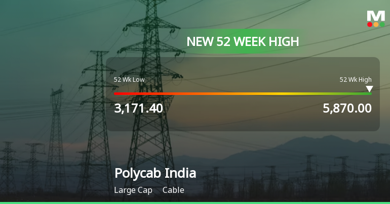 Polycab India's Impressive Performance and Positive Outlo...