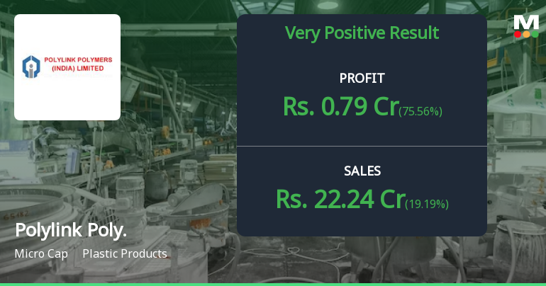 Polylink Polylink Polymers (India) Reports Strong Financial Perfor...