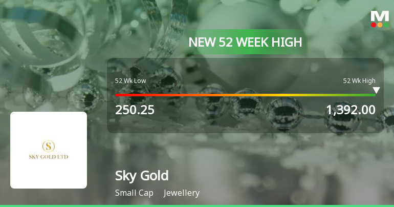 Sky Gold's Stock Reaches All-Time High, Outperforms Sector and Market