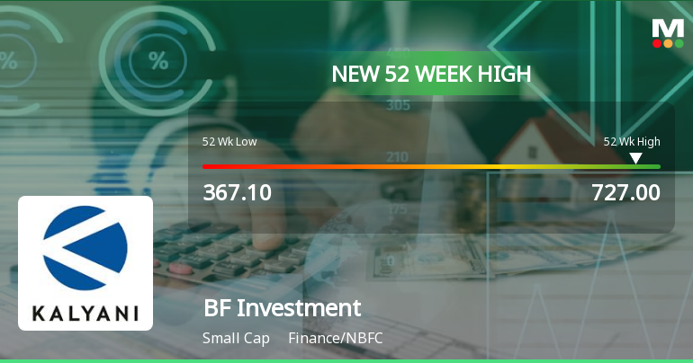 BF Investment's Stock Reaches 52-Week High, Outperforms Sector and ...
