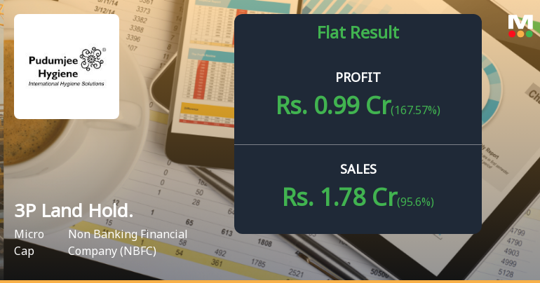 3P Land Holdings Q2 FY26: Strong Profit Surge Masks Underlying Concerns