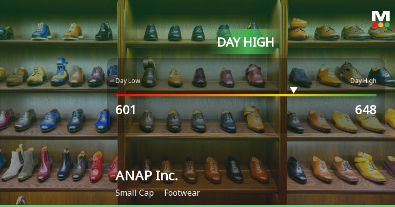 ANAP Inc. Hits Day High with 13.85% Surge in Stock Price