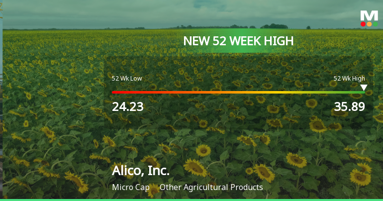 Alico, Inc. Hits New 52-Week High of $35.89, Reflecting Strong Growth