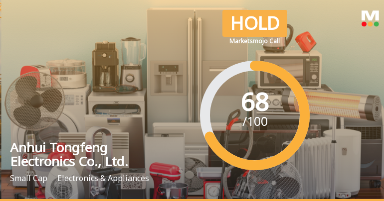 Anhui Tongfeng Electronics Receives Positive Valuation Adjustment Amid Improved Financial Metrics