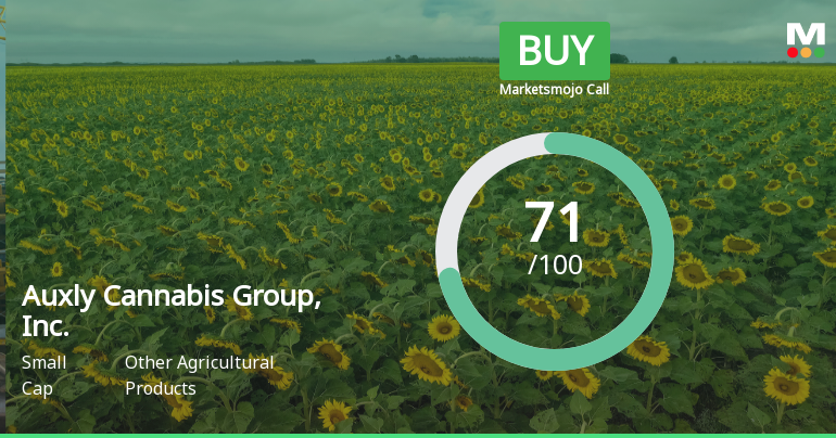 Auxly Cannabis Group Shows Improved Financial Metrics and Market Valuation Adjustments