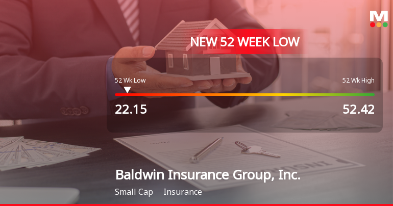Baldwin Insurance Group Stock Plummets to New 52-Week Low at $22.14