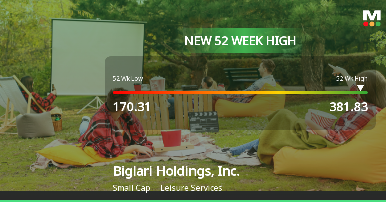 Biglari Holdings Hits New 52-Week High of $381.83, Up 98.12%