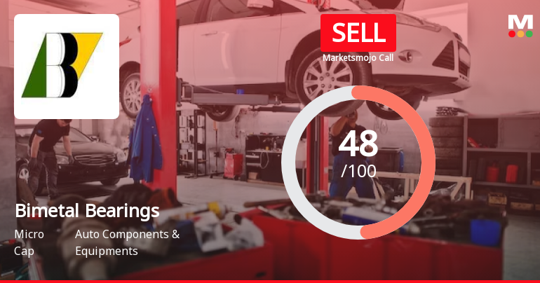 Bimetal Bearings Experiences Evaluation Shift Amid Strong Financial Performance and Market Underperformance