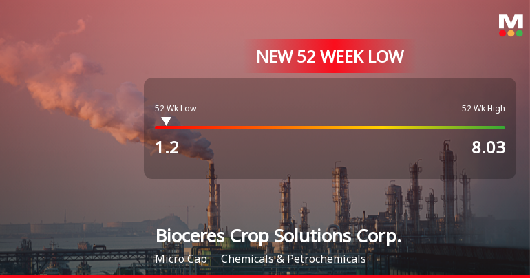 Bioceres Crop Solutions Corp. Hits New 52-Week Low at $1.20
