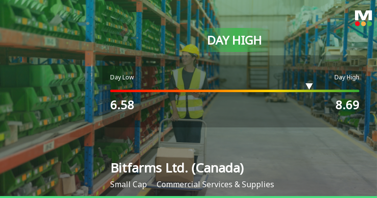 Bitfarms Ltd. Hits Day High with 40.96% Surge Amid Market Decline