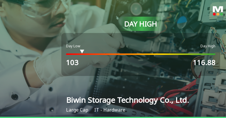 Biwin Storage Hits Day High with 8.25% Surge Amid Market Decline