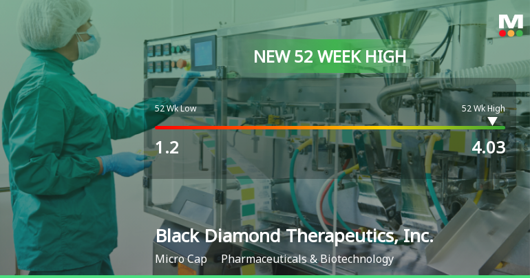 Black Diamond Therapeutics Hits New 52-Week High at $4.03
