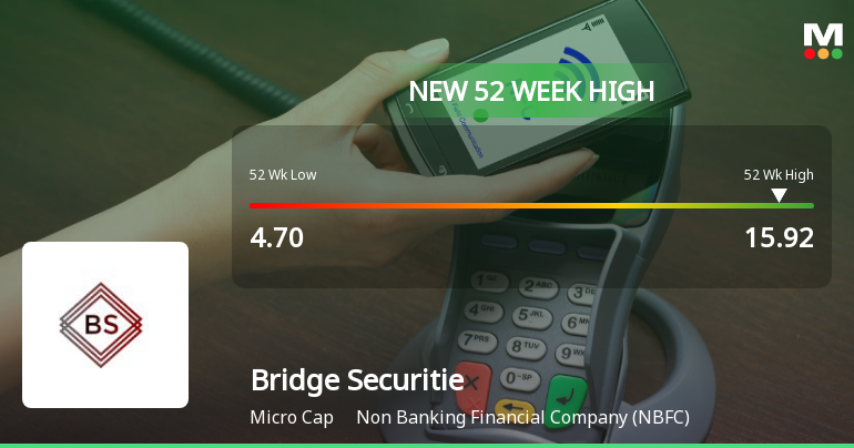 Bridge Securities Hits New 52-Week High of Rs. 15.92, Up 8.67%