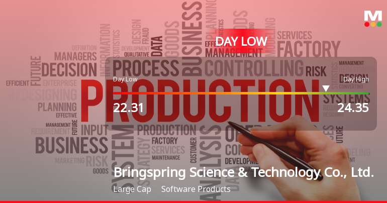 Bringspring Science & Technology Hits Day Low Amid Price Pressure at CNY 22.31