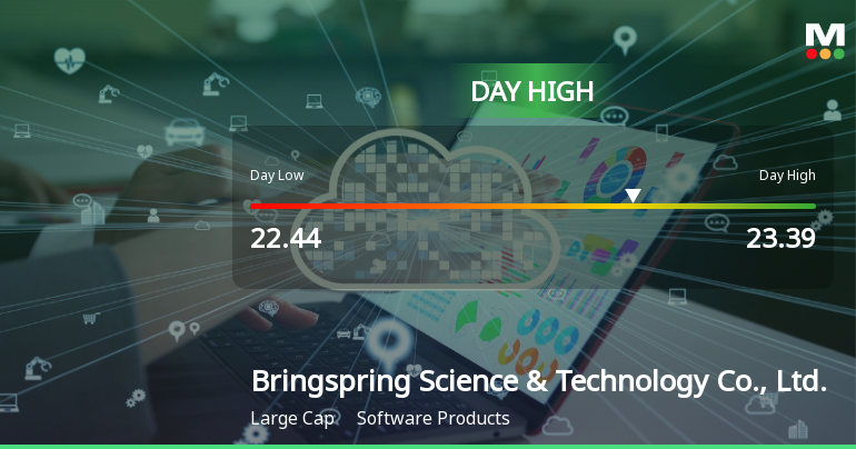 Bringspring Science & Technology Hits Day High with 5.63% Surge