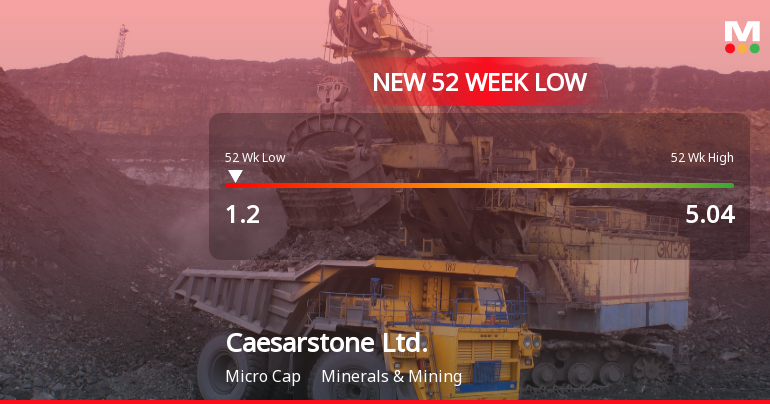 Caesarstone Ltd. Hits New 52-Week Low at USD 1.20