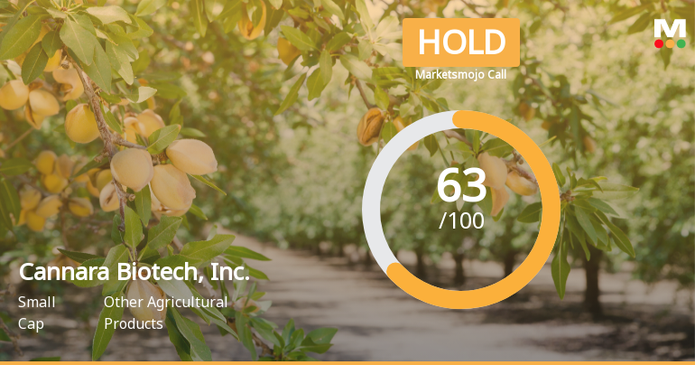 Cannara Biotech Reports Strong Growth Amidst Market Positioning Adjustments