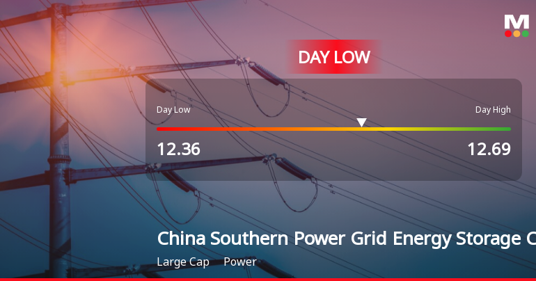 China Southern Power Grid Stock Hits Day Low Amid Price Pressure at CNY 12.36