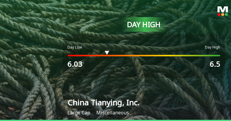 China Tianying Hits Day High with 4.06% Surge to CNY 6.50