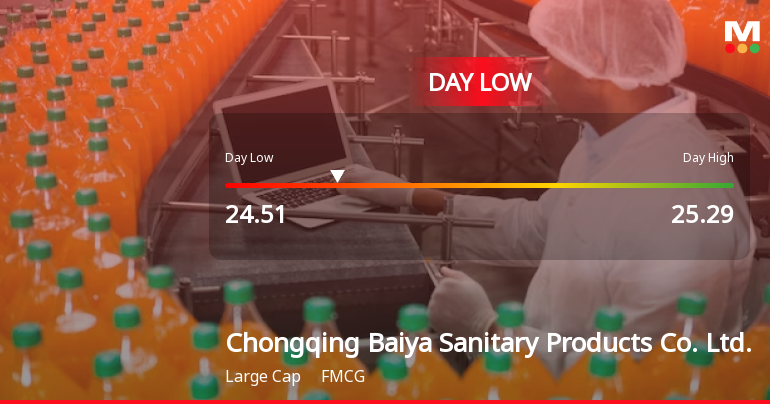 Chongqing Baiya Stock Hits Day Low of CNY 24.51 Amid Price Pressure