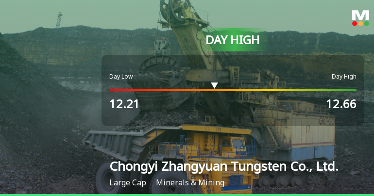 Chongyi Zhangyuan Tungsten Hits Day High with Strong 3.25% Intraday Surge