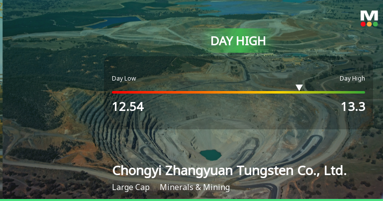 Chongyi Zhangyuan Tungsten Stock Hits Day High with 7.38% Surge