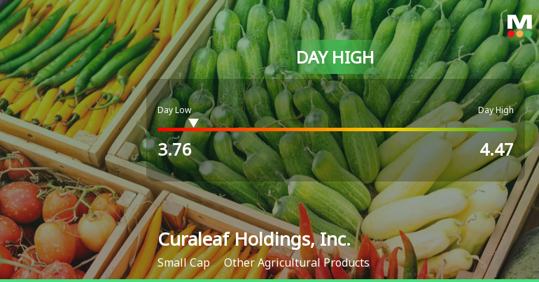 Curaleaf Holdings Hits Day High with Strong 8.19% Intraday Surge