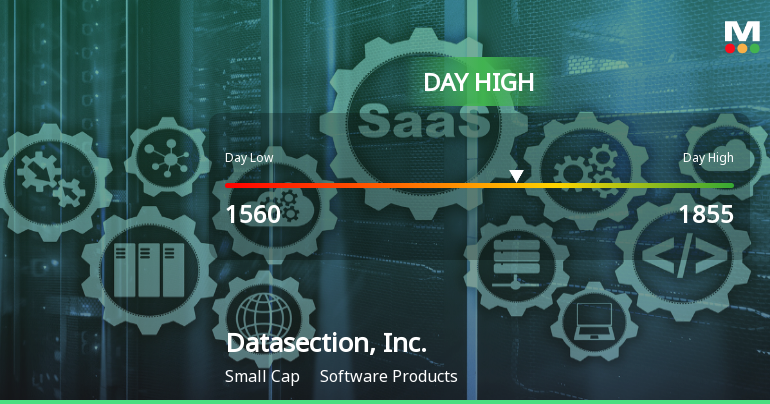 Datasection, Inc. Hits Day High with 16.91% Surge in Stock Price
