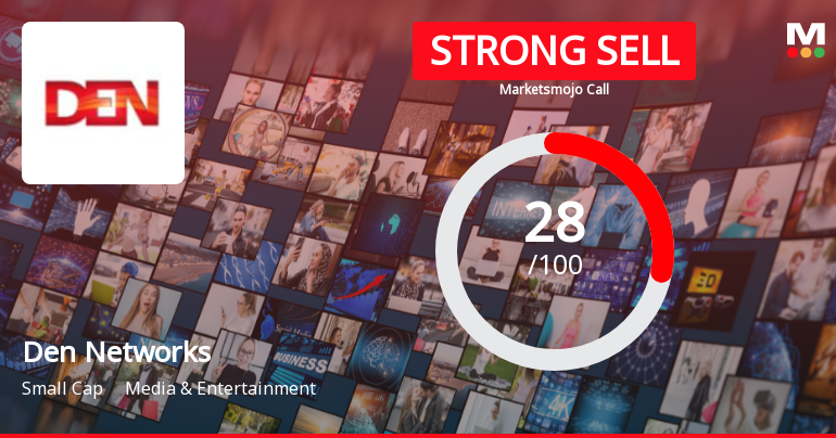 Den Networks Faces Financial Challenges Amid Declining Profitability and Sales Performance