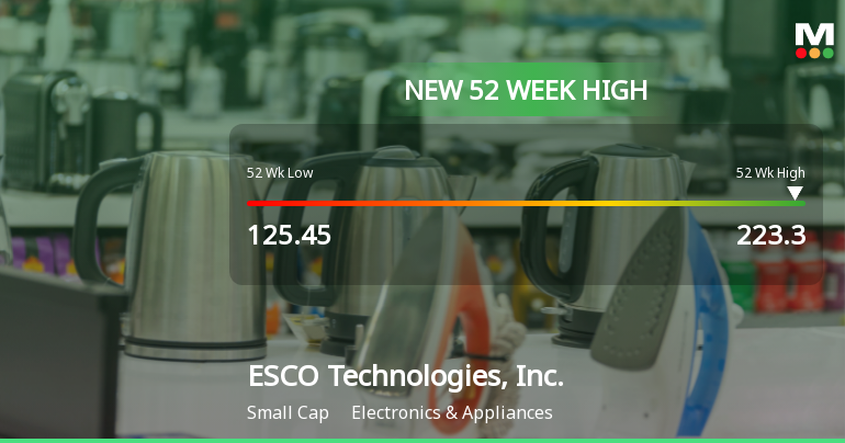 ESCO Technologies Hits New 52-Week High of $223.30, Up 109.44%