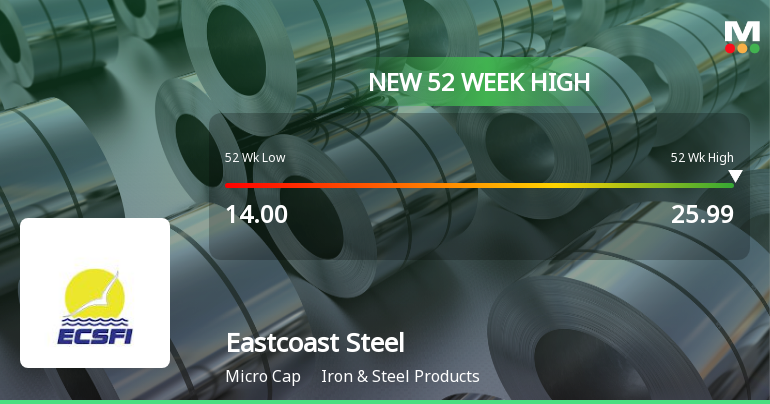 Eastcoast Steel Hits New 52-Week High at Rs. 25.99