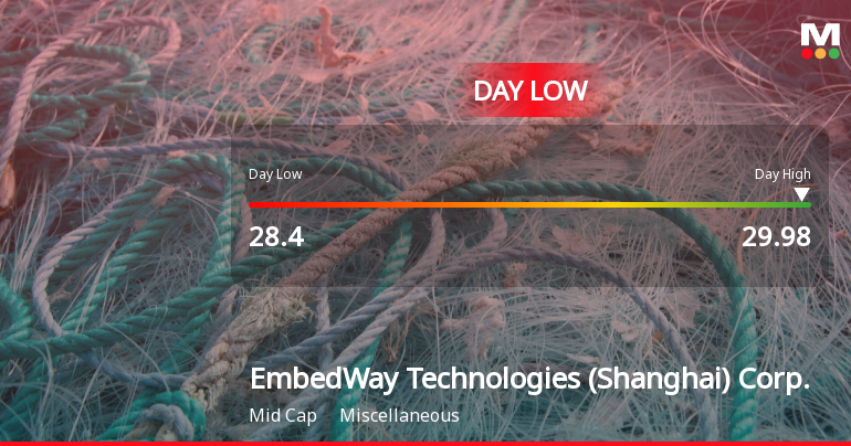 EmbedWay Technologies Hits Day Low of CNY 28.40 Amid Price Pressure