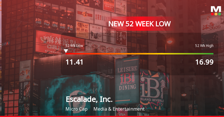 Escalade, Inc. Stock Hits New 52-Week Low at USD 11.41