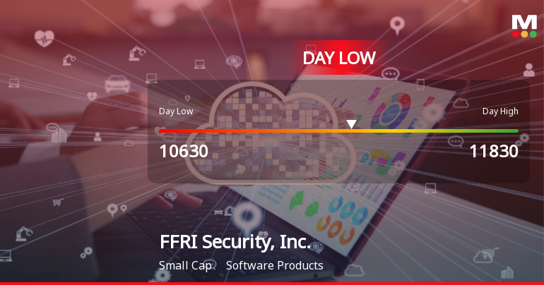 FFRI Security Hits Day Low at JPY 10,630 Amid Price Pressure